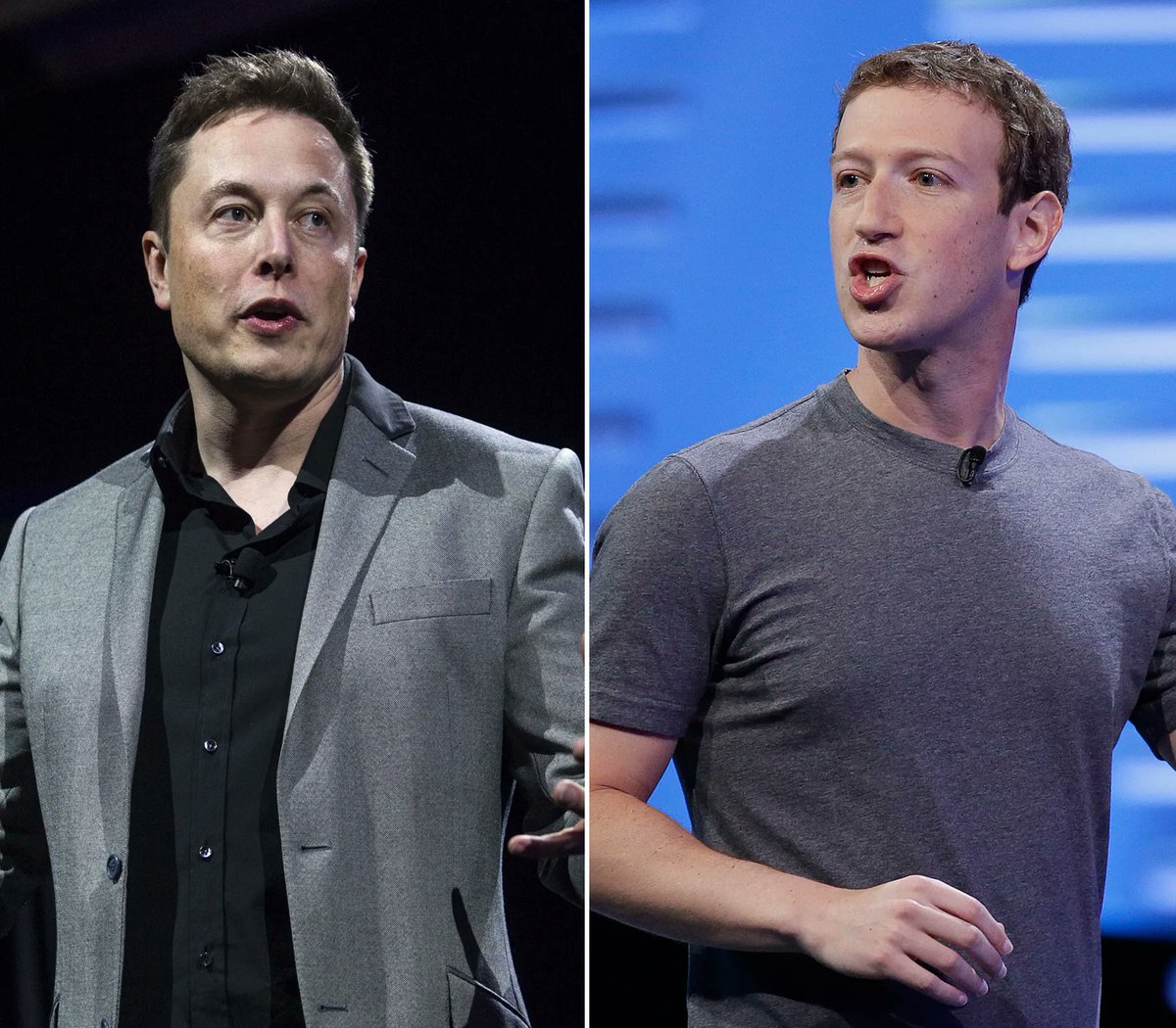 Clash between Elon Musk and Mark Zuckerberg is being touted as the biggest fight "in the history of the world."