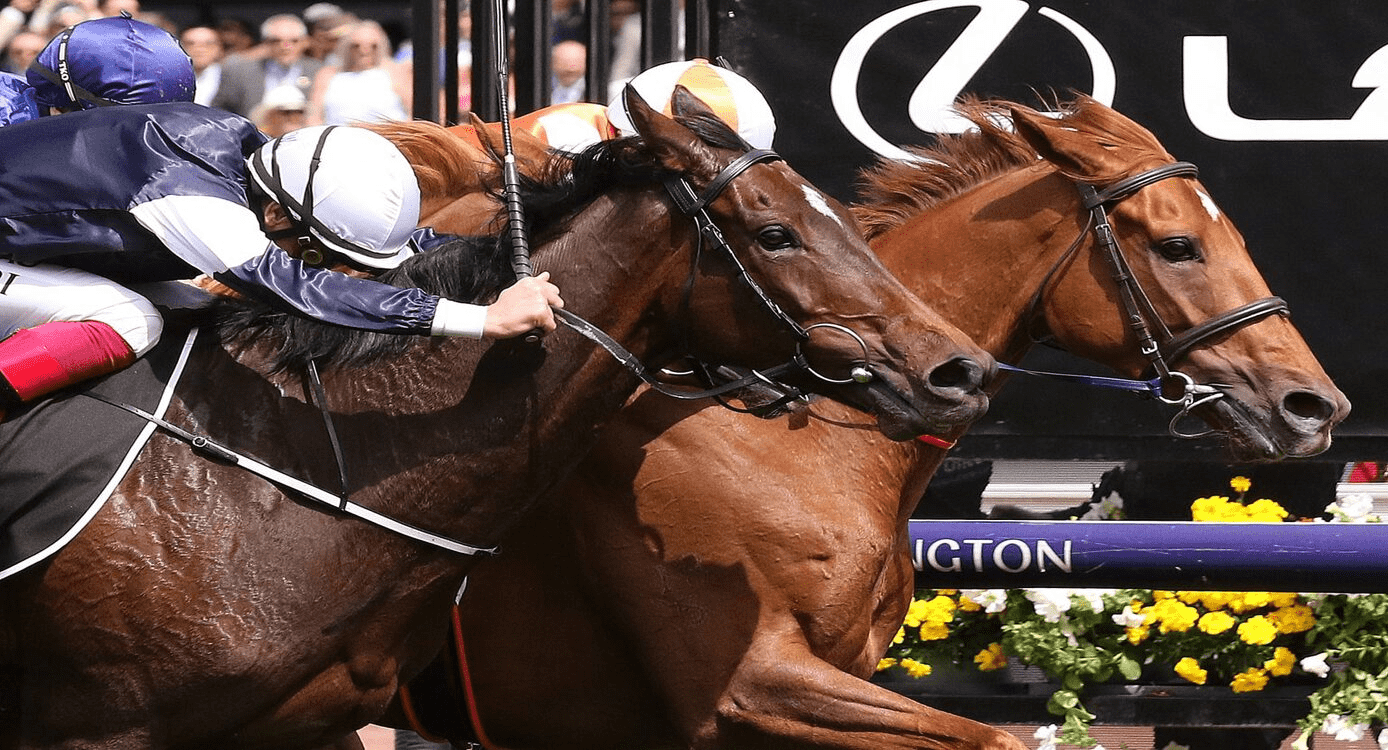 Mr Brightside Favored to Make History with Back-to-Back Victory at The 2024 All-Star Mile