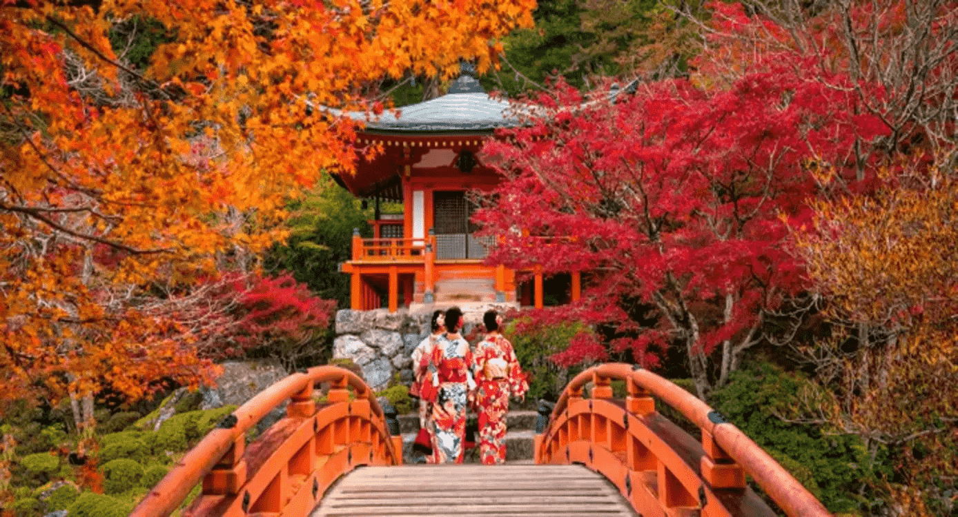 The Very Best of Autumn in Japan