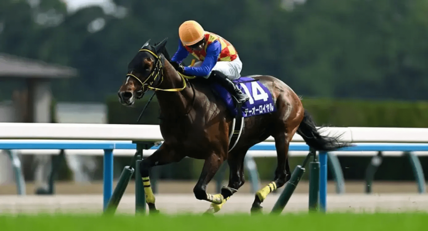 T O Royal Dominates, Securing His Inaugural G1 Victory at the Tenno Sho