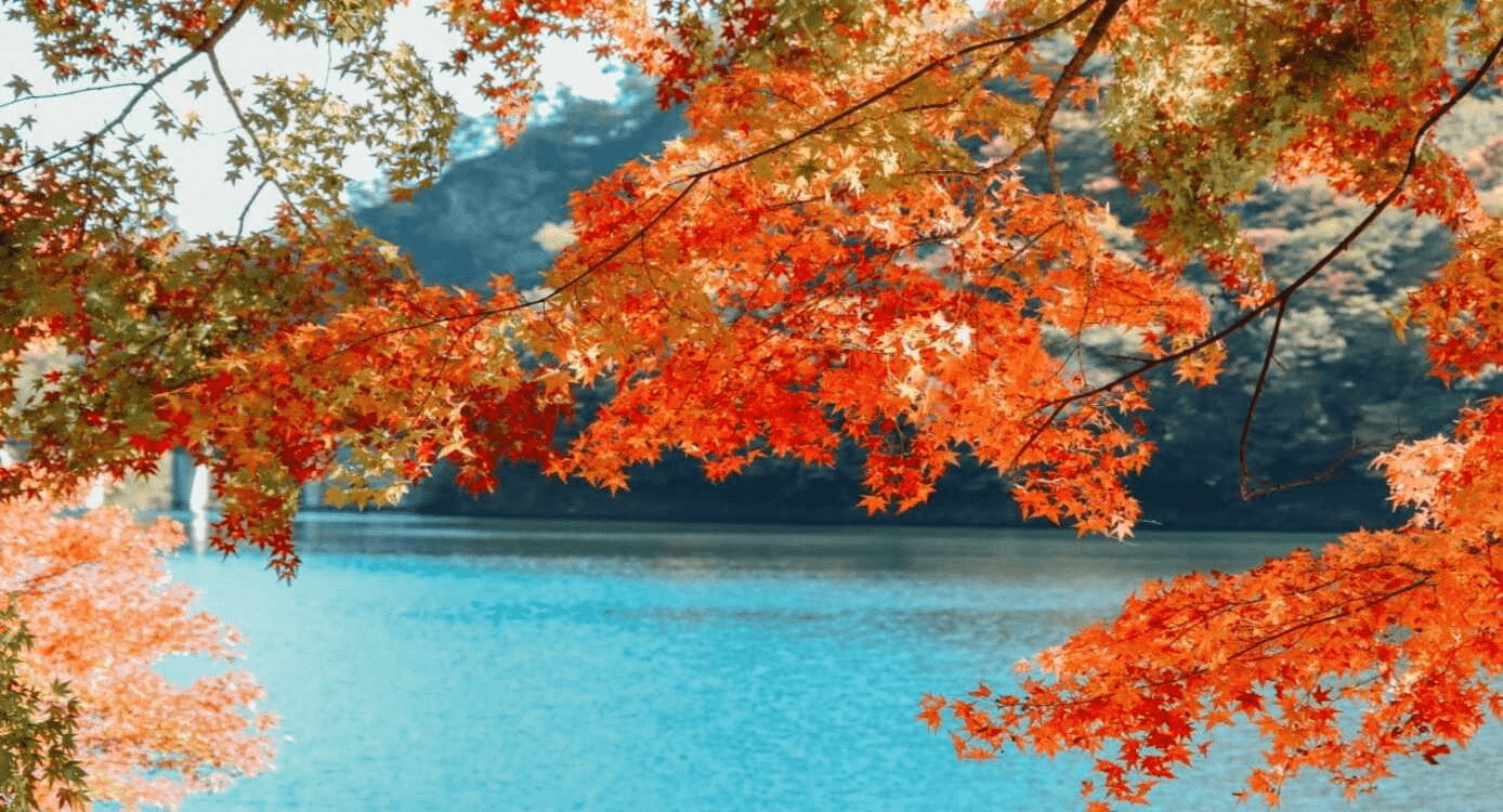 Is Fall the Best Time to Visit Japan?