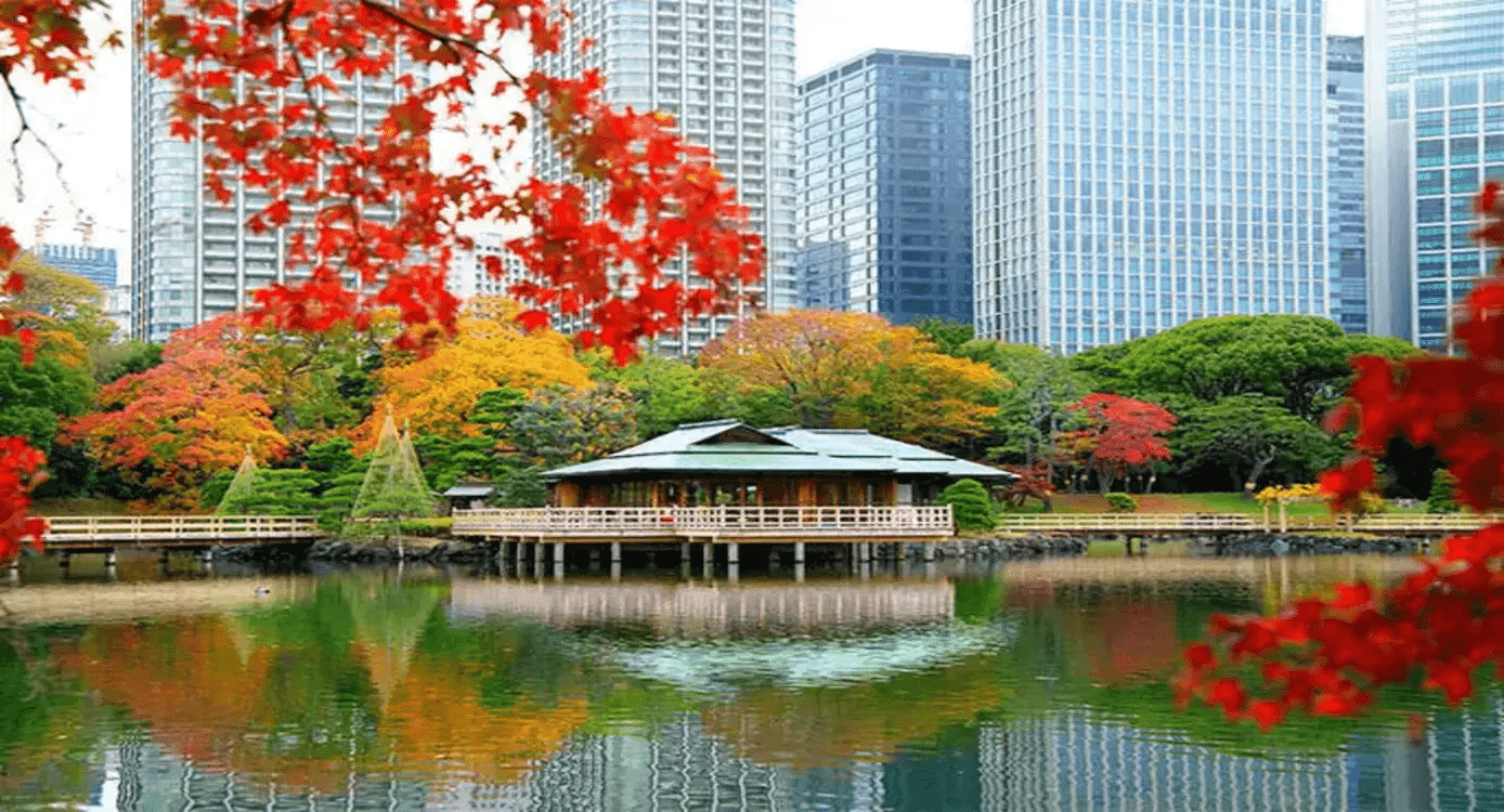 The Best Times to See Autumn Leaves in Japan for 2024: Official Forecast